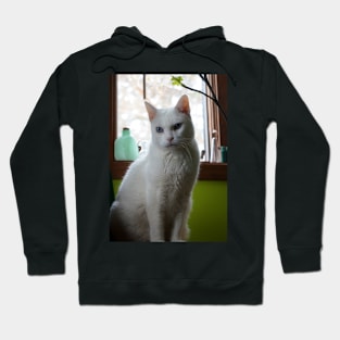 White Cat Portrait Hoodie